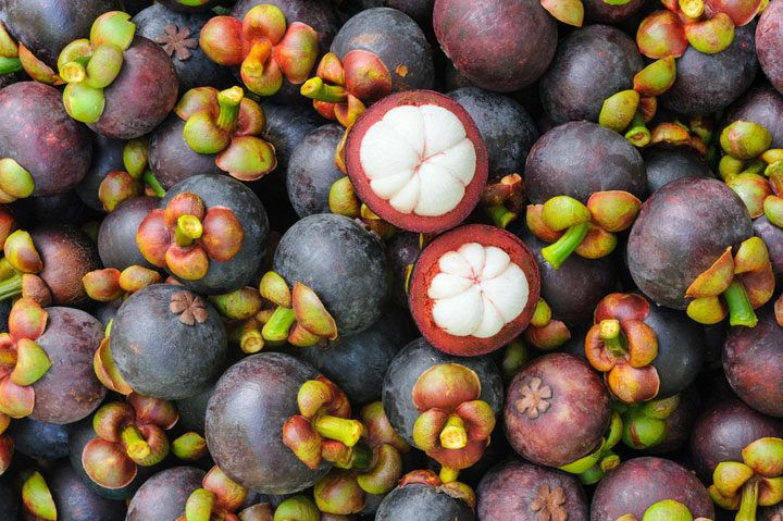 Extract Mangosteen